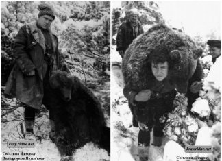 Зворушлива історія про дружбу ведмедя та повстанця УПА