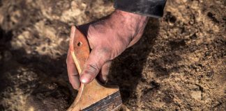 Розкопки на львівському Вернісажі. Фото: Рятувальна археологічна служба