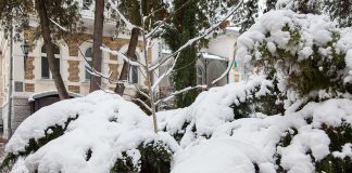 Новорічні та різдвяні святкування у Львові. Повна програма