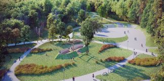 Оглядовий вид з пташиного лету на паркову сцену та чайку