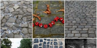 Львівські бруки, або чим і як мостили вулиці наші предки