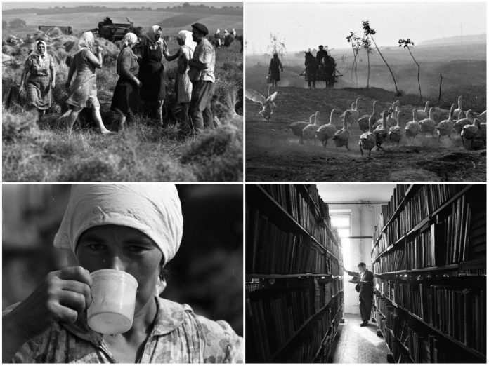 Будні села на Львівщині в 1970-х