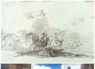 Шалені шляхтичі під Львовом, або “куряча війна” і образи короля