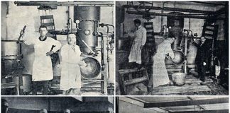 Фортуна Нова