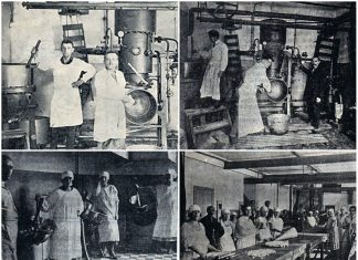 Фортуна Нова