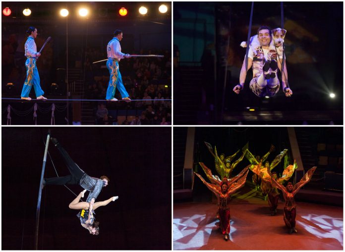 Циркова програма "Континенталь", або шоу на межі можливостей