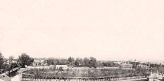 Руханково-спортова площа товариства «Сокіл-Батько» у Львові («Українськи Город)