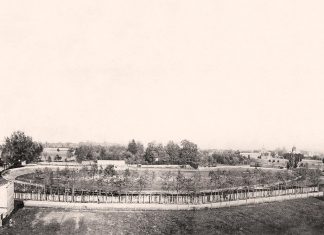 Руханково-спортова площа товариства «Сокіл-Батько» у Львові («Українськи Город)