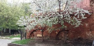 Експозиція фотовиставки Маркіяна Нестайка та Івана Радковця під назвою “Подвір'я нашого дитинства”