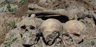 Результати пошуково-ексгумаційних робіт