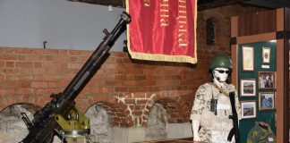 Урочистості з нагоди Дня українських миротворців