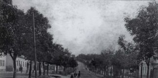 Початок "цісарської дороги" на Золочів (Верхній Личаків). Фото 1890-х років