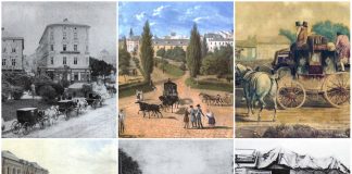 Транспортні комунікації Галичини, Буковини та Закарпаття до появи залізниць