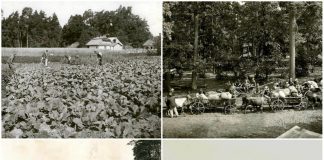 Підмонастирок на Радехівщині 100 років тому