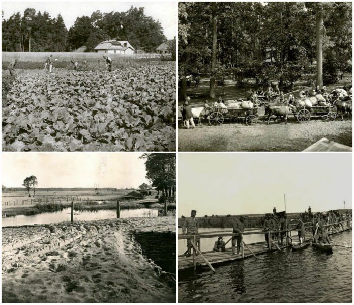 Підмонастирок на Радехівщині 100 років тому