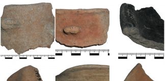 Кераміка з городища Тудорів культури Ґава-Голігради у фондах ЛІМУ