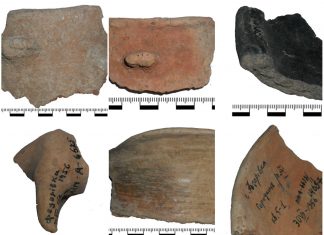 Кераміка з городища Тудорів культури Ґава-Голігради у фондах ЛІМУ