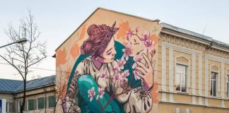 Магнолія на стіні школи №2 у Стрию