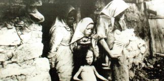 Голодомор 1932-1933 років