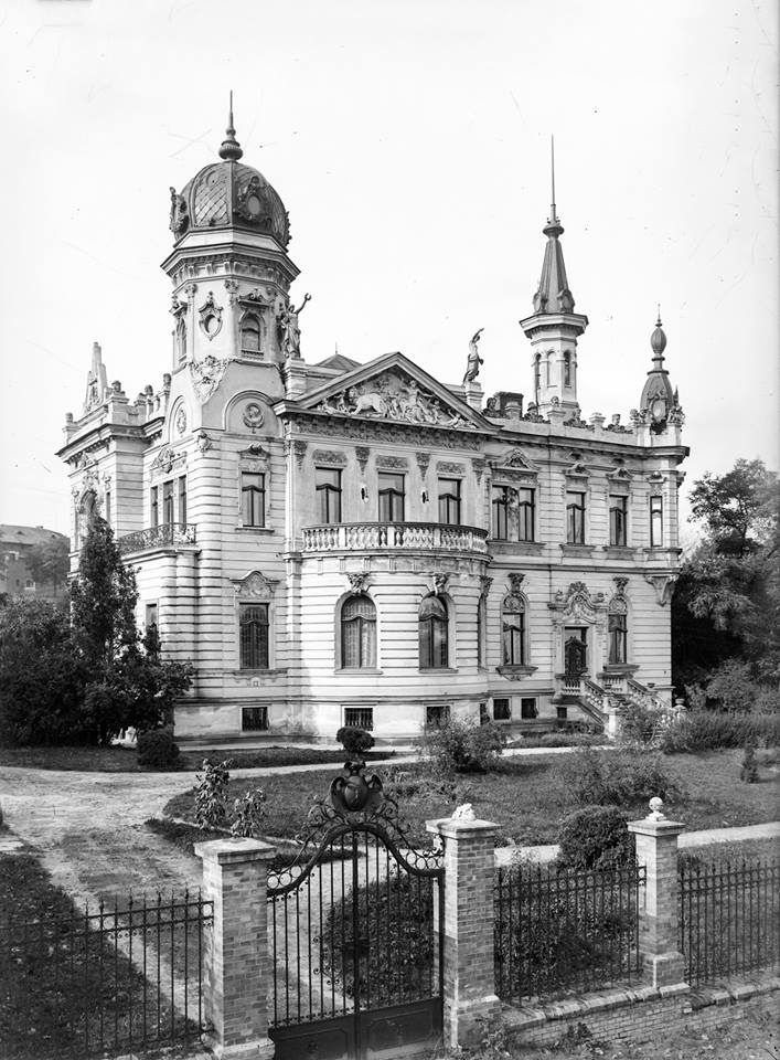 Національний музей у Львові, (сучасна вулиця Драгоманова, 42), фото початку ХХ століття