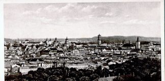 Панорама міста Львова. Фото початку ХХ століття