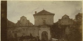 Свірзький замок на фото до 1909 року.