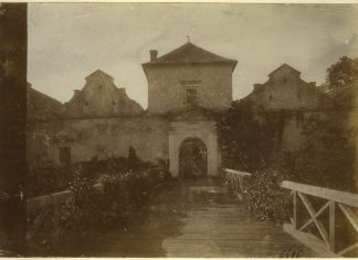 Свірзький замок на фото до 1909 року.