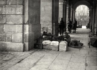 “І ратуш обеспечують наші стрільці” – Степан Гайдучок. Листопад 1918 р. З приватного архіву Степана Гайдучка (м. Львів).