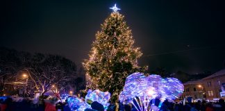 Львівська ялинка 2018 року. Фото Дивись.info