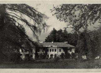 Палац Лянцкоронських в Хлопах. Фото початку ХХ століття