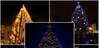 Ялинки (відео)