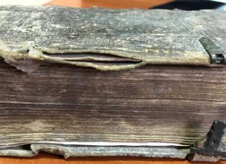 [Biblia] Novum Testamentum latinum у перекладі Себастіана Кастеліо. – Coloniae, 1564
