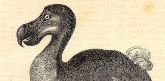 Життя на межі – яке воно? Розказують львівські митці