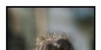 Володимир Розбицький