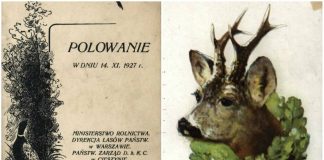 Як організовували полювання для гостей у Галичині кінця ХІХ- початку ХХ ст.