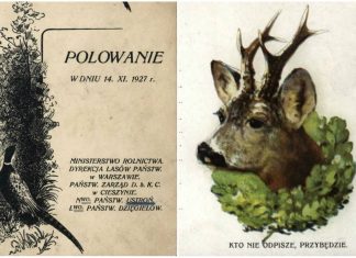 Як організовували полювання для гостей у Галичині кінця ХІХ- початку ХХ ст.