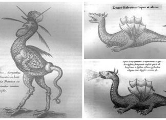 “Академія всієї науки”. Розпізнавання відьом і боротьба з драконами, або Львів і перша “енциклопедія” на українських землях 