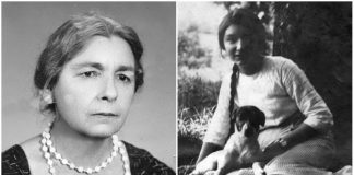 Навздогін за жар-птицею, або таємниця Тетяни Рогози