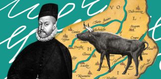 Луцьк і Волинь XVI ст. у спогадах француза