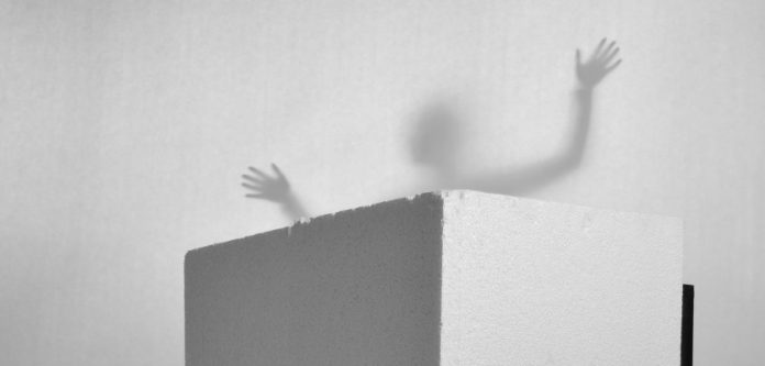 Оксана Литвиненко і Богдан Сегін дадуть концерт у Львові