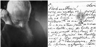 Під німецькою окупацією. Фрагмент біографії бл. свщмч. Климентія Шептицького. Частина ІІ
