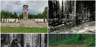 Ой на горі, на Маківці, або як ми умирали, нам дзвони не грали