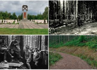 Ой на горі, на Маківці, або як ми умирали, нам дзвони не грали