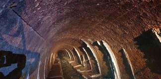 Полтва. Фото Андрія Риштуна