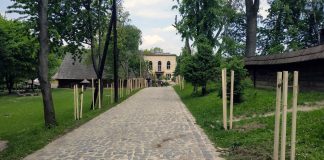 Алея сакур у Львівському скансені