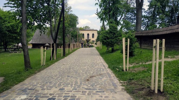 Алея сакур у Львівському скансені