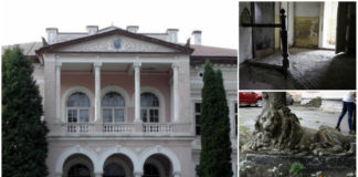 Палац дідичів Буська (1810)