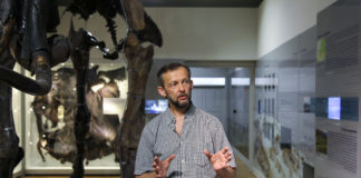 Експозиція виставки «Льодовикова епоха: Повернення мамута до Львова»