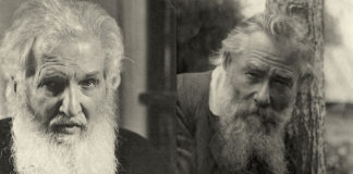 Митрополит Андрей Шептицький і Олекса Новаківський