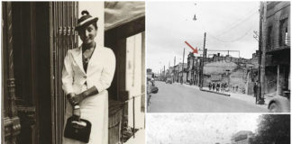 Життя, як спалах зірки. Розстріляна муза Зузанни Гінчанки